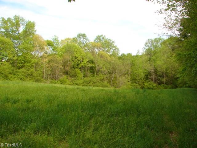 0 Dan Road Robbins, NC 27325 - Photo 21 of 50