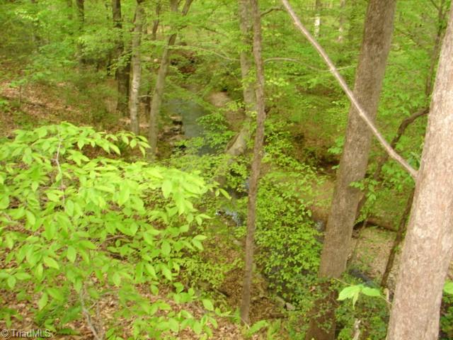 0 Dan Road Robbins, NC 27325 - Photo 22 of 50