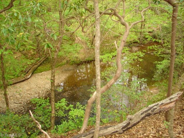 0 Dan Road Robbins, NC 27325 - Photo 23 of 50