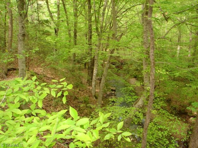 0 Dan Road Robbins, NC 27325 - Photo 24 of 50