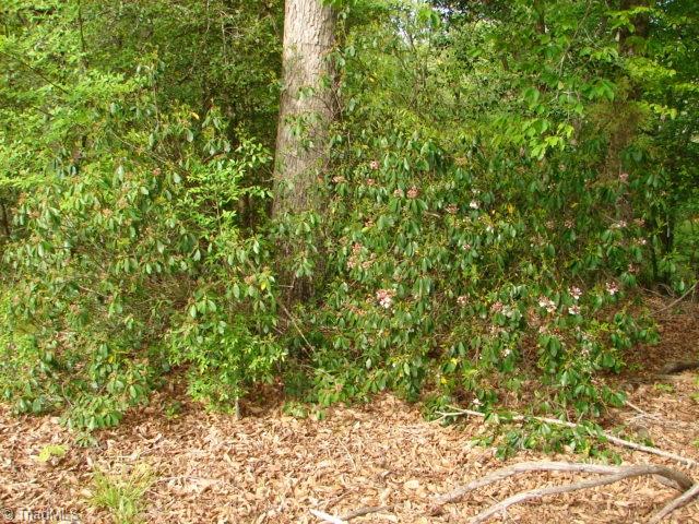 0 Dan Road Robbins, NC 27325 - Photo 27 of 50