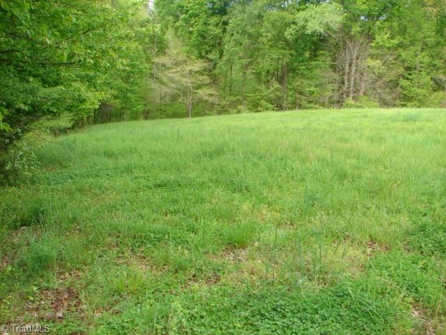 0 Dan Road Robbins, NC 27325 - Photo 28 of 50