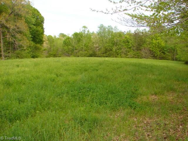 0 Dan Road Robbins, NC 27325 - Photo 29 of 50