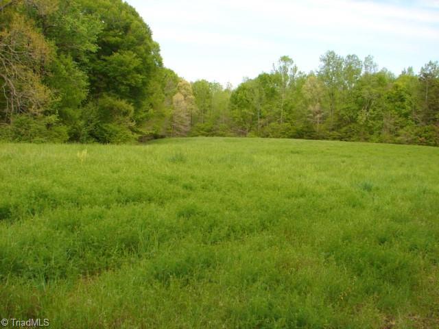 0 Dan Road Robbins, NC 27325 - Photo 30 of 50