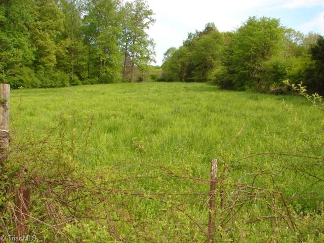 0 Dan Road Robbins, NC 27325 - Photo 3 of 50