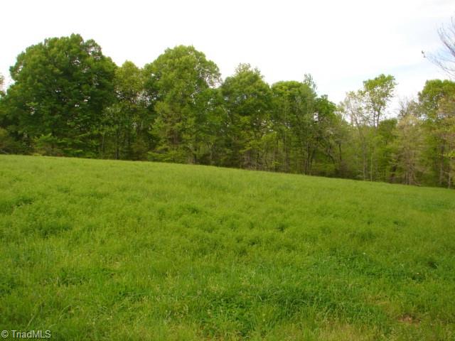 0 Dan Road Robbins, NC 27325 - Photo 32 of 50