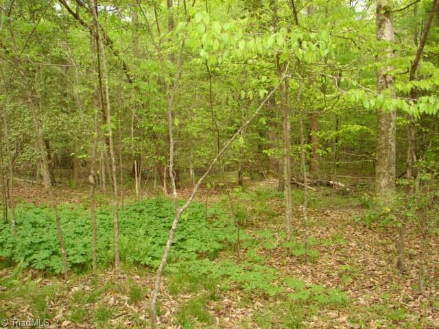 0 Dan Road Robbins, NC 27325 - Photo 33 of 50