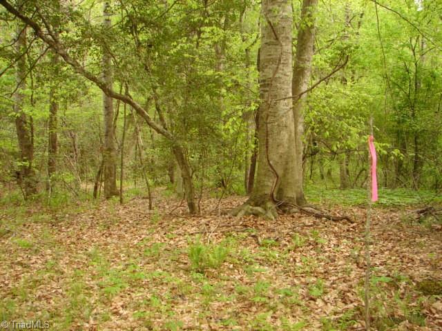 0 Dan Road Robbins, NC 27325 - Photo 34 of 50