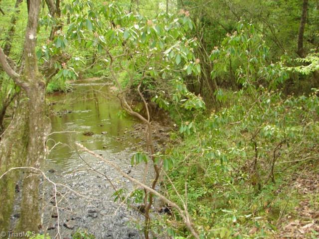 0 Dan Road Robbins, NC 27325 - Photo 35 of 50