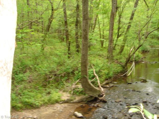 0 Dan Road Robbins, NC 27325 - Photo 36 of 50