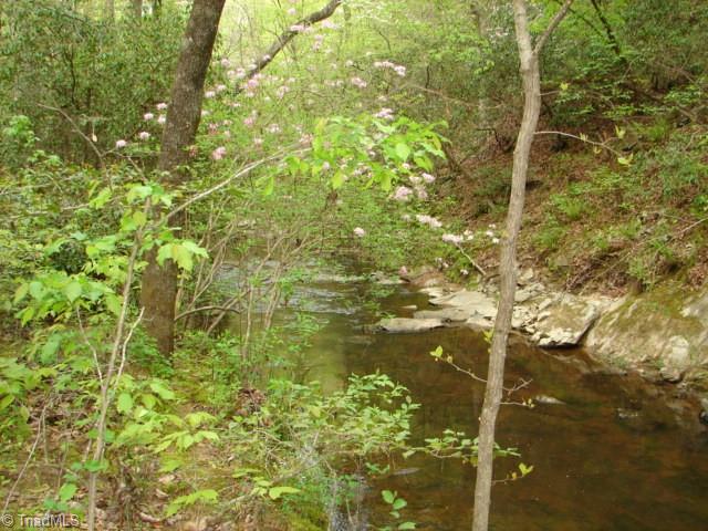 0 Dan Road Robbins, NC 27325 - Photo 38 of 50