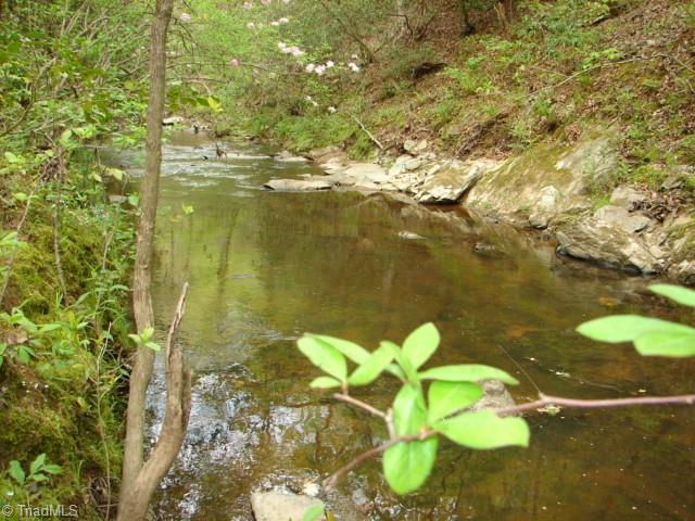 0 Dan Road Robbins, NC 27325 - Photo 39 of 50