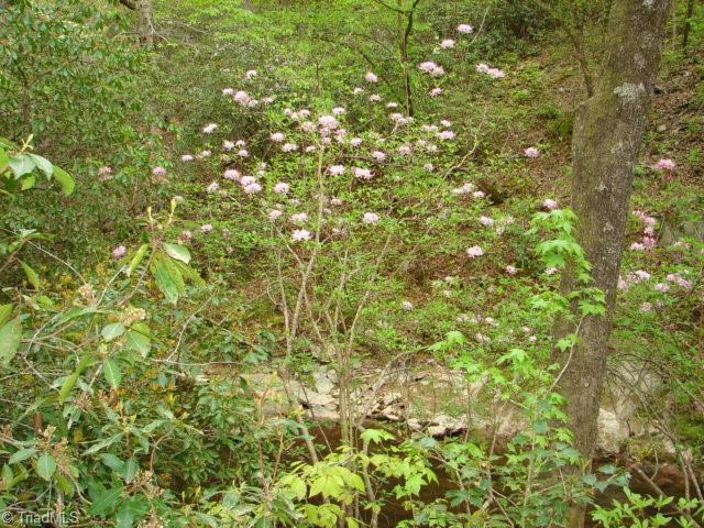 0 Dan Road Robbins, NC 27325 - Photo 40 of 50