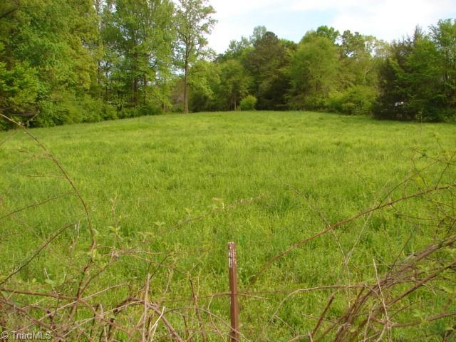 0 Dan Road Robbins, NC 27325 - Photo 4 of 50