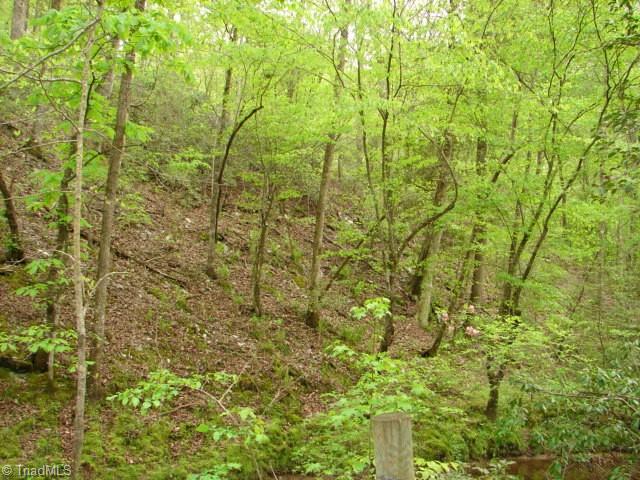 0 Dan Road Robbins, NC 27325 - Photo 41 of 50