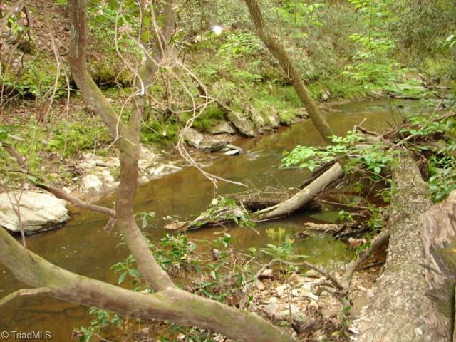 0 Dan Road Robbins, NC 27325 - Photo 43 of 50
