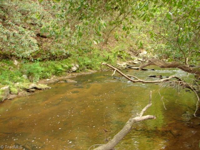 0 Dan Road Robbins, NC 27325 - Photo 45 of 50