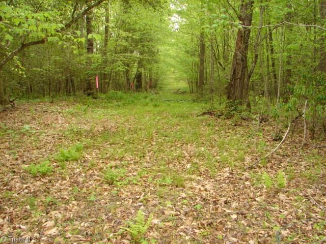 0 Dan Road Robbins, NC 27325 - Photo 46 of 50