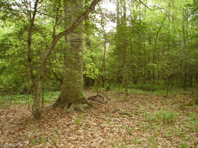 0 Dan Road Robbins, NC 27325 - Photo 47 of 50