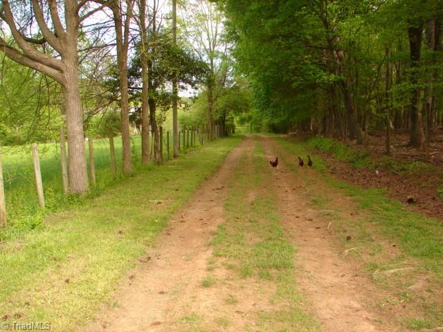 0 Dan Road Robbins, NC 27325 - Photo 8 of 50