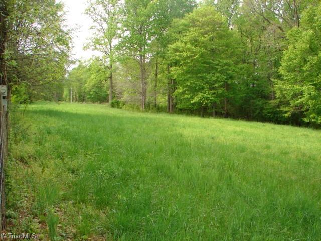 0 Dan Road Robbins, NC 27325 - Photo 9 of 50