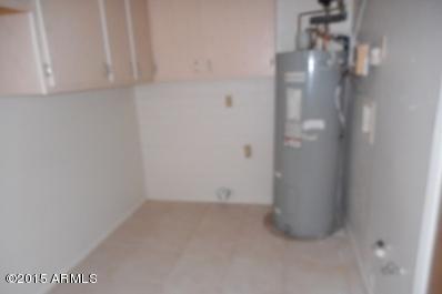 6013 East Decatur Street Mesa, AZ 85205 - Photo 16 of 22 laundry and h2o tank