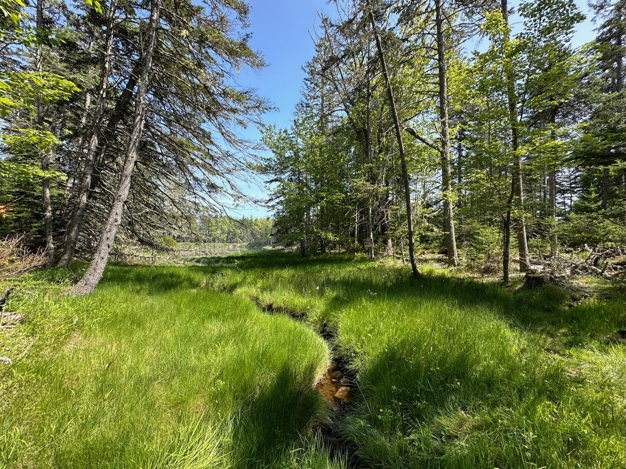 31 Fay Road Spruce Head, ME 04859 - Photo 16 of 77 87F17D19-EAC1-4894-9585-C9E050F3C908