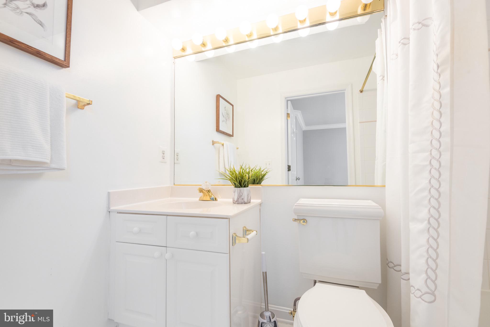 12096 Kinsley Place Reston, VA 20190 - Photo 24 of 28 Full guest bath