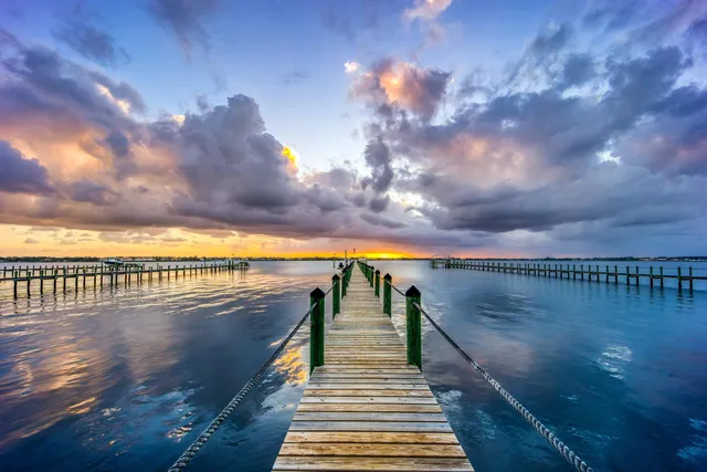 a view of a swimming pool with a garden