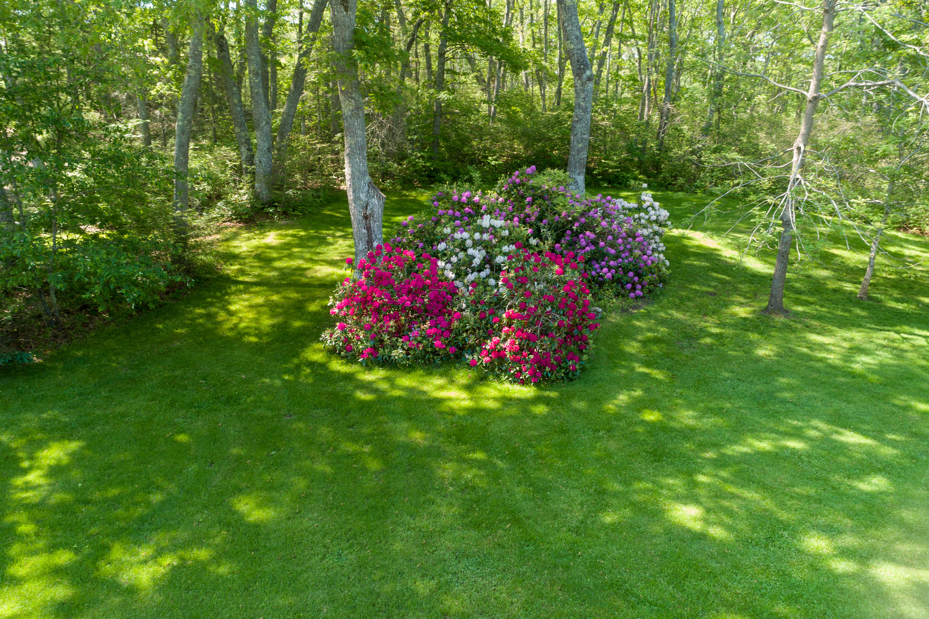 65 Cove Road New Harbor, ME 04554 - Photo 11 of 45 20210607_65_Cove_Rd_0221