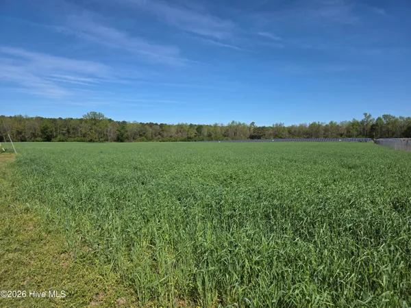 $175,000 | 0 North N Nc 111 And 903 Highway, Albertson, NC 28508
