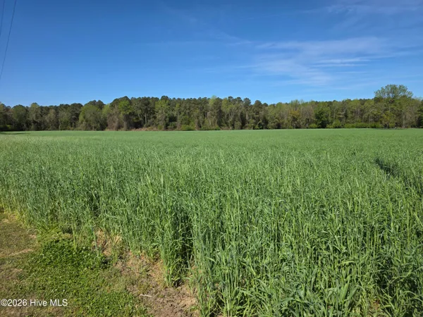$175,000 | 0 North N Nc 111 And 903 Highway, Albertson, NC 28508