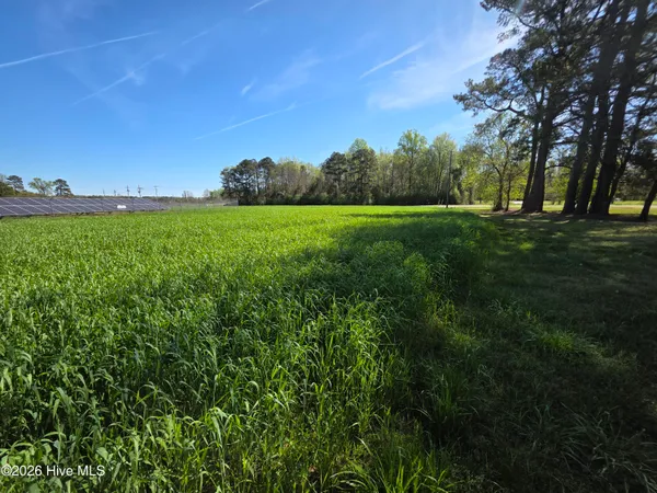 $175,000 | 0 North N Nc 111 And 903 Highway, Albertson, NC 28508