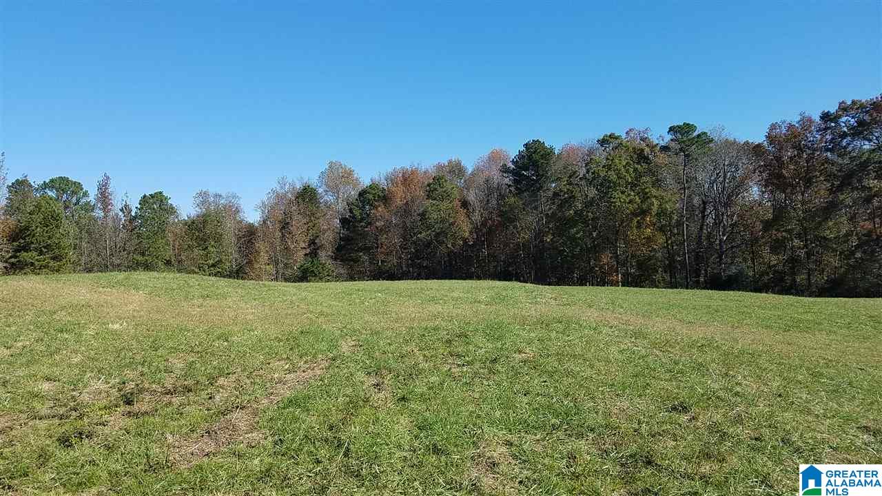 298 Bowerman Road Blountsville, AL 35031 - Photo 17 of 30