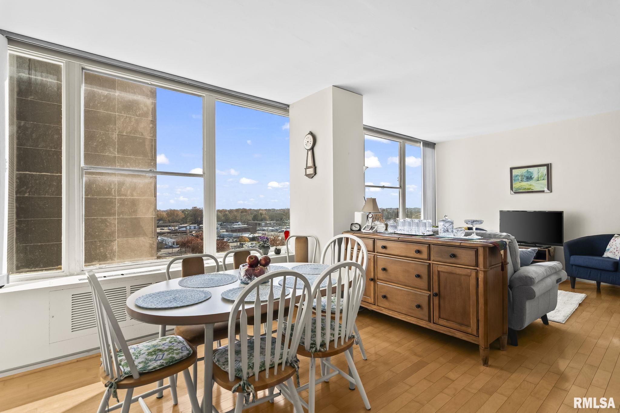 718 South 7th Street, Unit 1003 Springfield, IL 62703 - Photo 11 of 33 Gallery Image 11