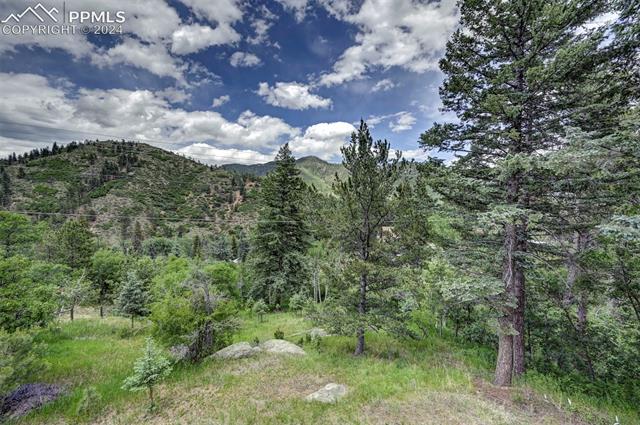 10070 Wildwood Road Cascade, CO 80809 - Photo 8 of 47 Gallery Image 8