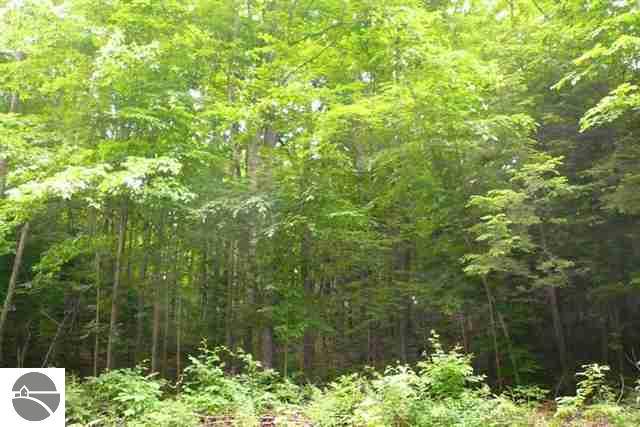 7872 Kellogg Road Northwest Alden, MI 49612 - Photo 21 of 22 1728345-20.JPG