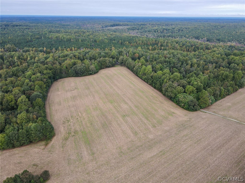 0 Sunshine Road Ruther Glen, VA 22546 - Photo 4 of 4 Gallery Image 4