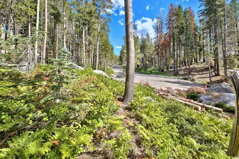 $72,000 | 22028 Lotta Crabtree, Soda Springs, CA 95728