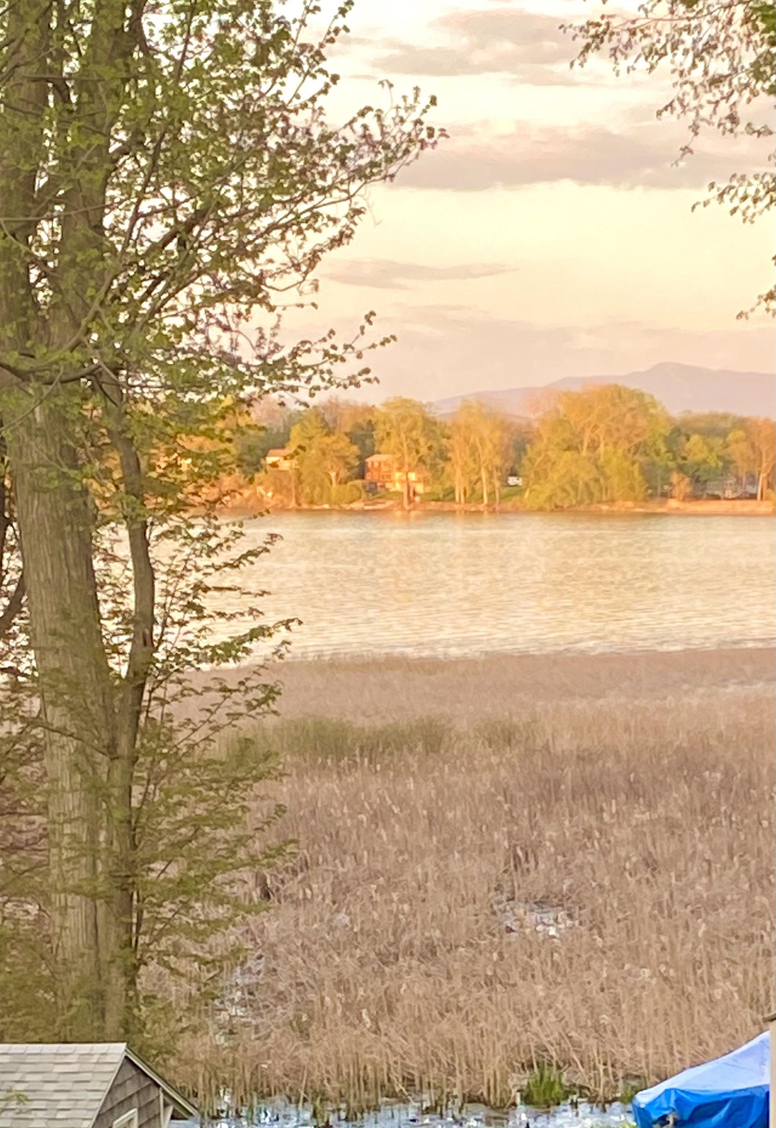 440 Mills Point Road Colchester, VT 05446 - Photo 5 of 36