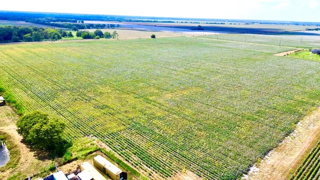 a view of an ocean from a balcony