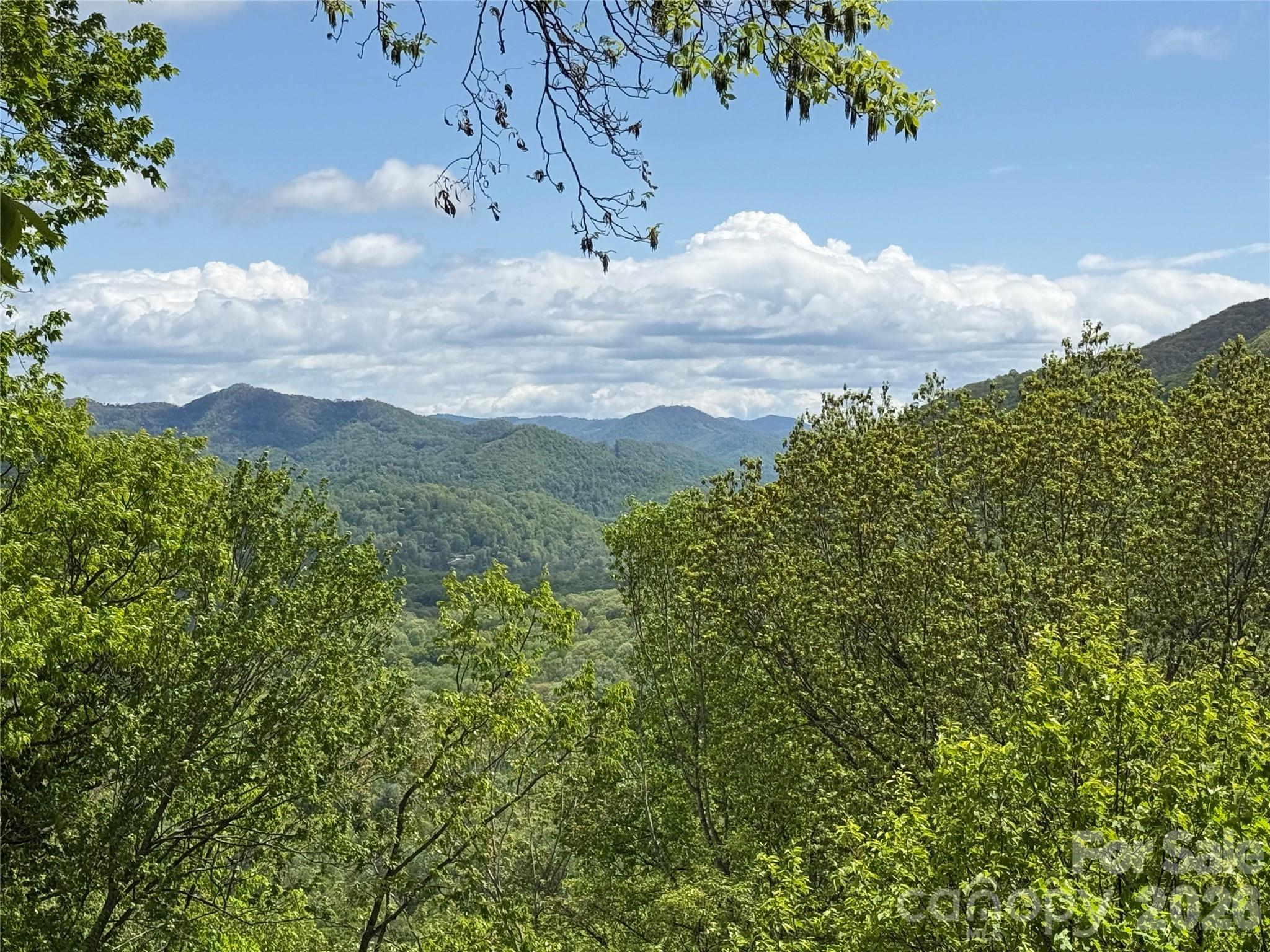 208 Buckeye Road Maggie Valley, NC 28751 - Photo 2 of 48 Gallery Image 2
