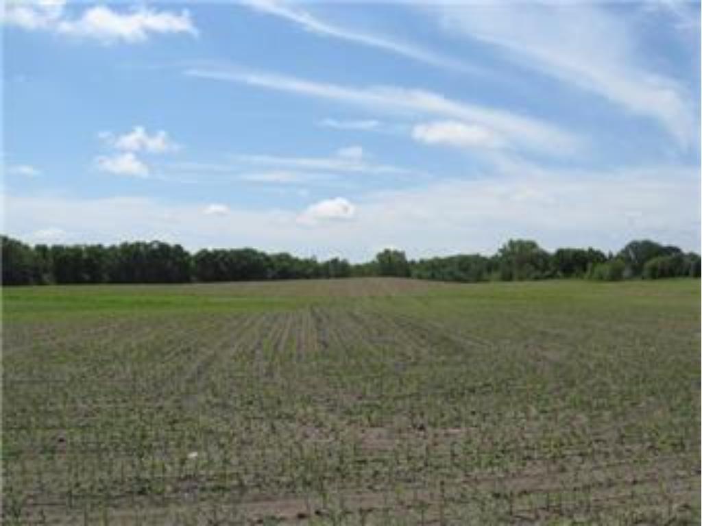 157 X Hamel Road Medina, MN 55340 - Photo 1 of 1