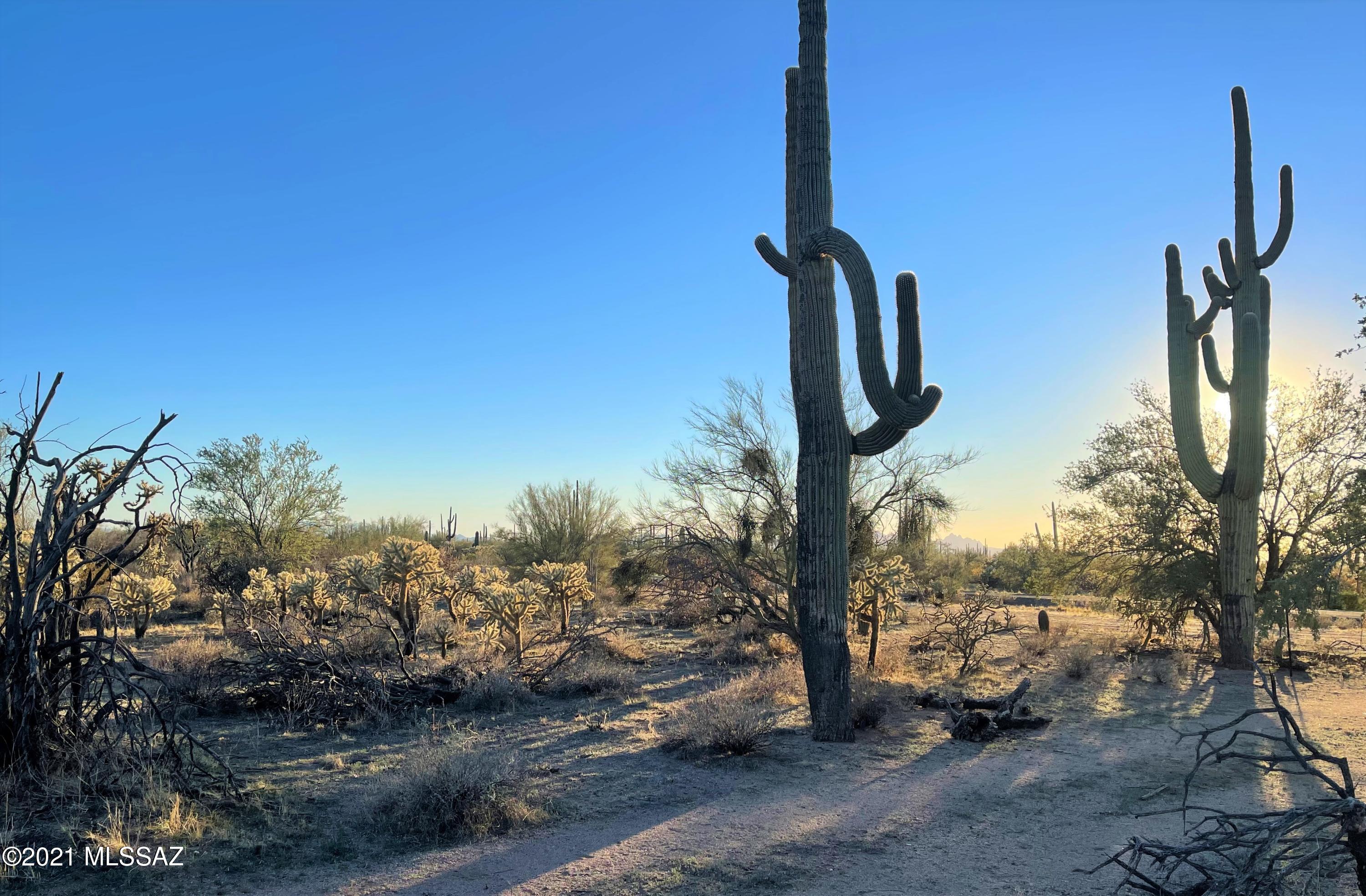 South Cattle Tank Road, Unit 20 Marana, AZ 85658 - Photo 14 of 20