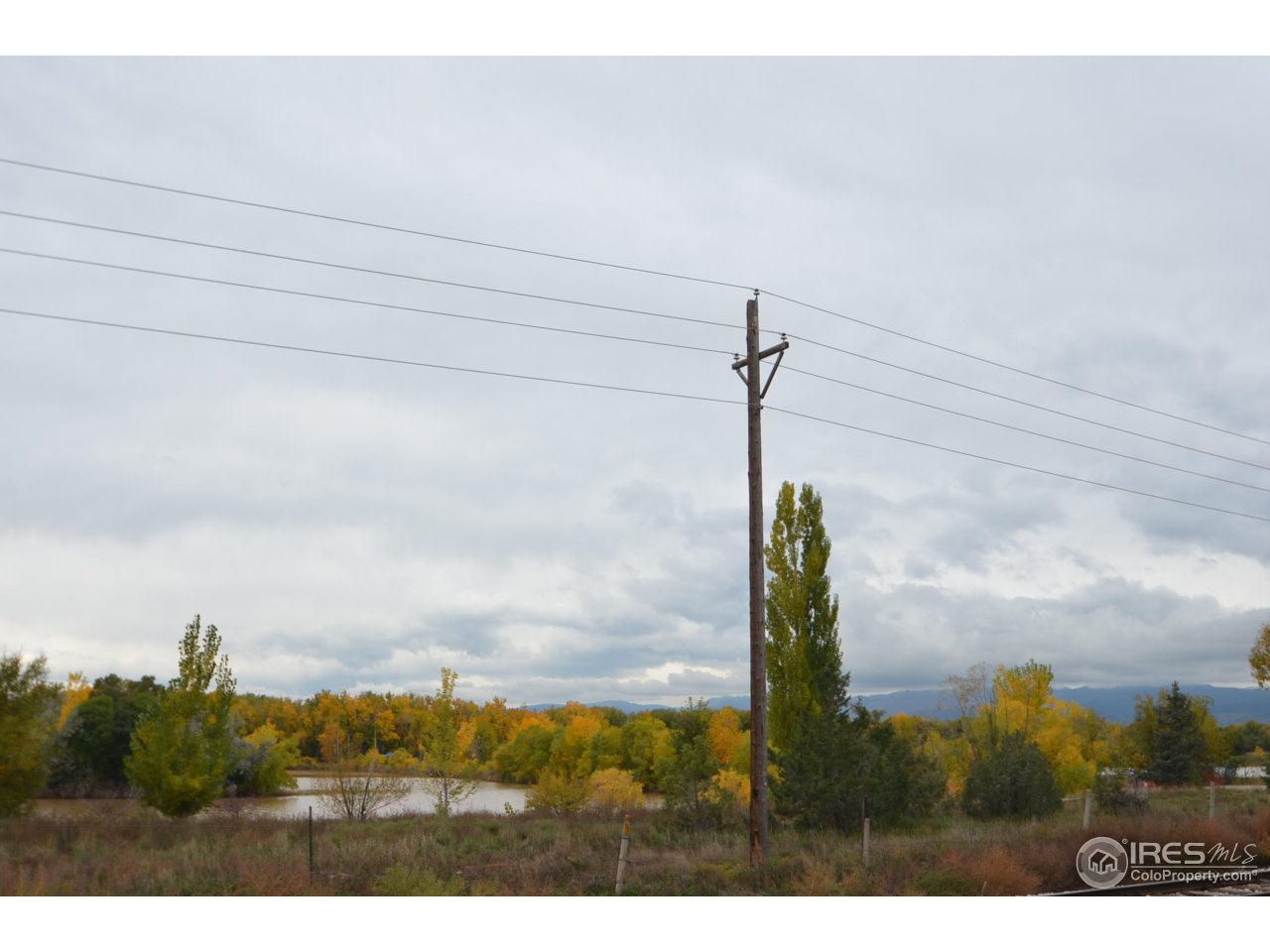 641 Wade Road Longmont, CO 80503 - Photo 14 of 14