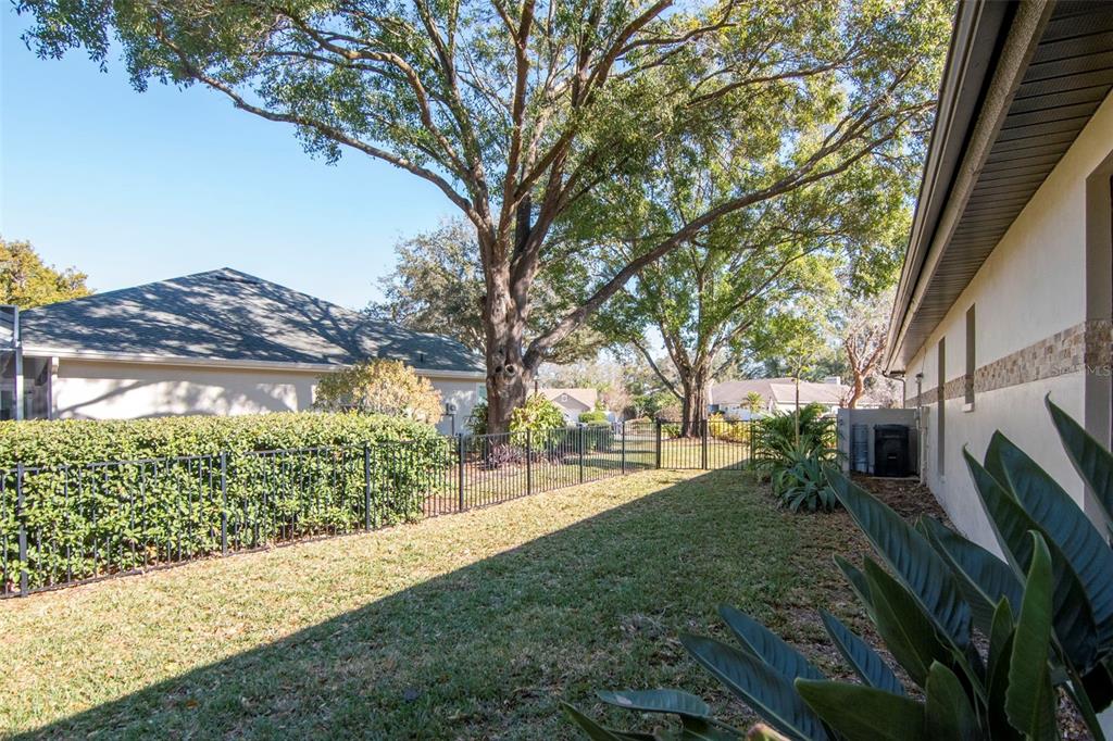 18306 Pleasant Ridge Place Lutz, FL 33548 - Photo 54 of 64 a view of a yard with plants and a large tree