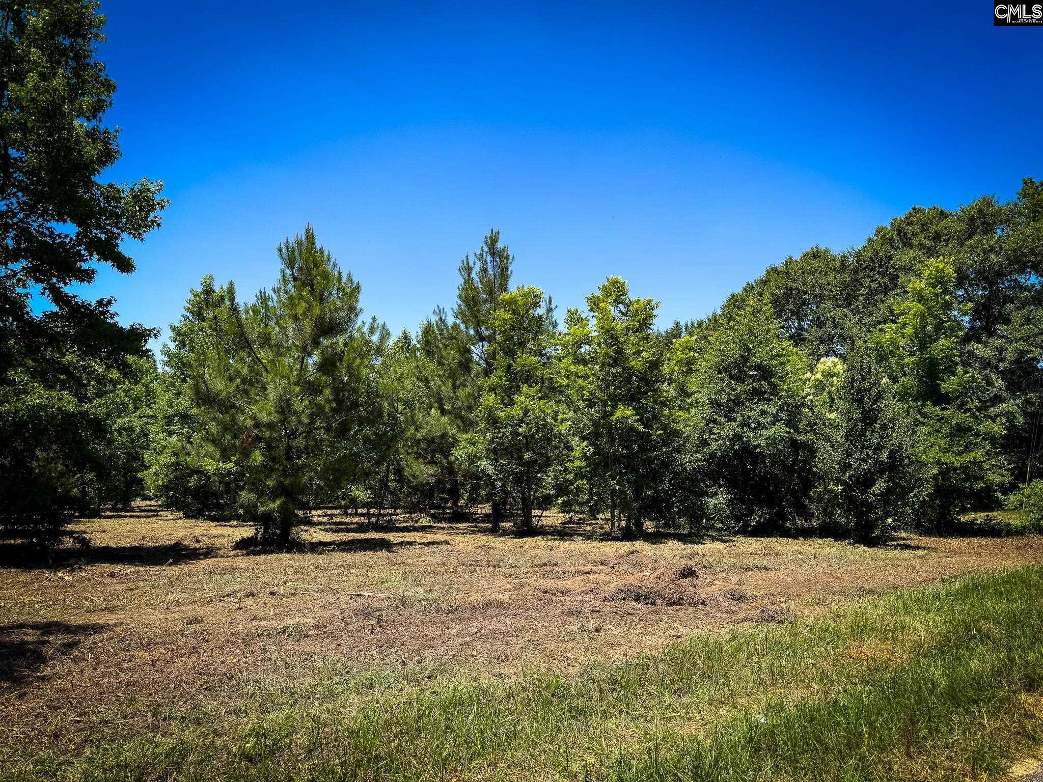 0 South Bethlehem Road, Unit LOT 2 Batesburg, SC 29006 - Photo 1 of 8