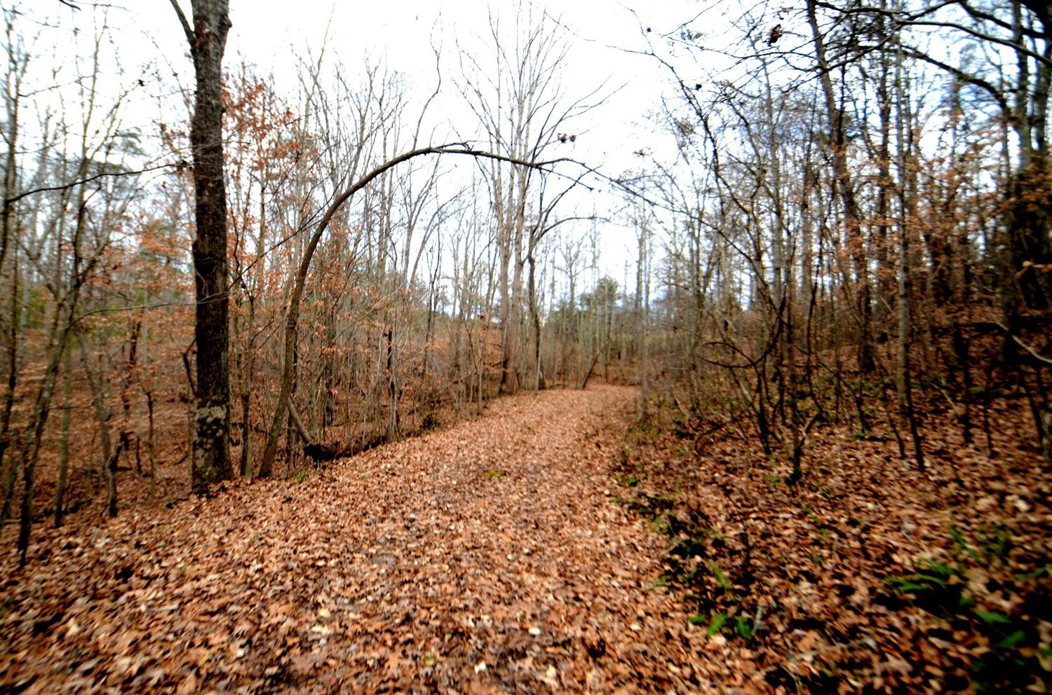 146 Opossum Run Road Irvine, KY 40336 - Photo 61 of 64 Trails and roads all over this sprawling