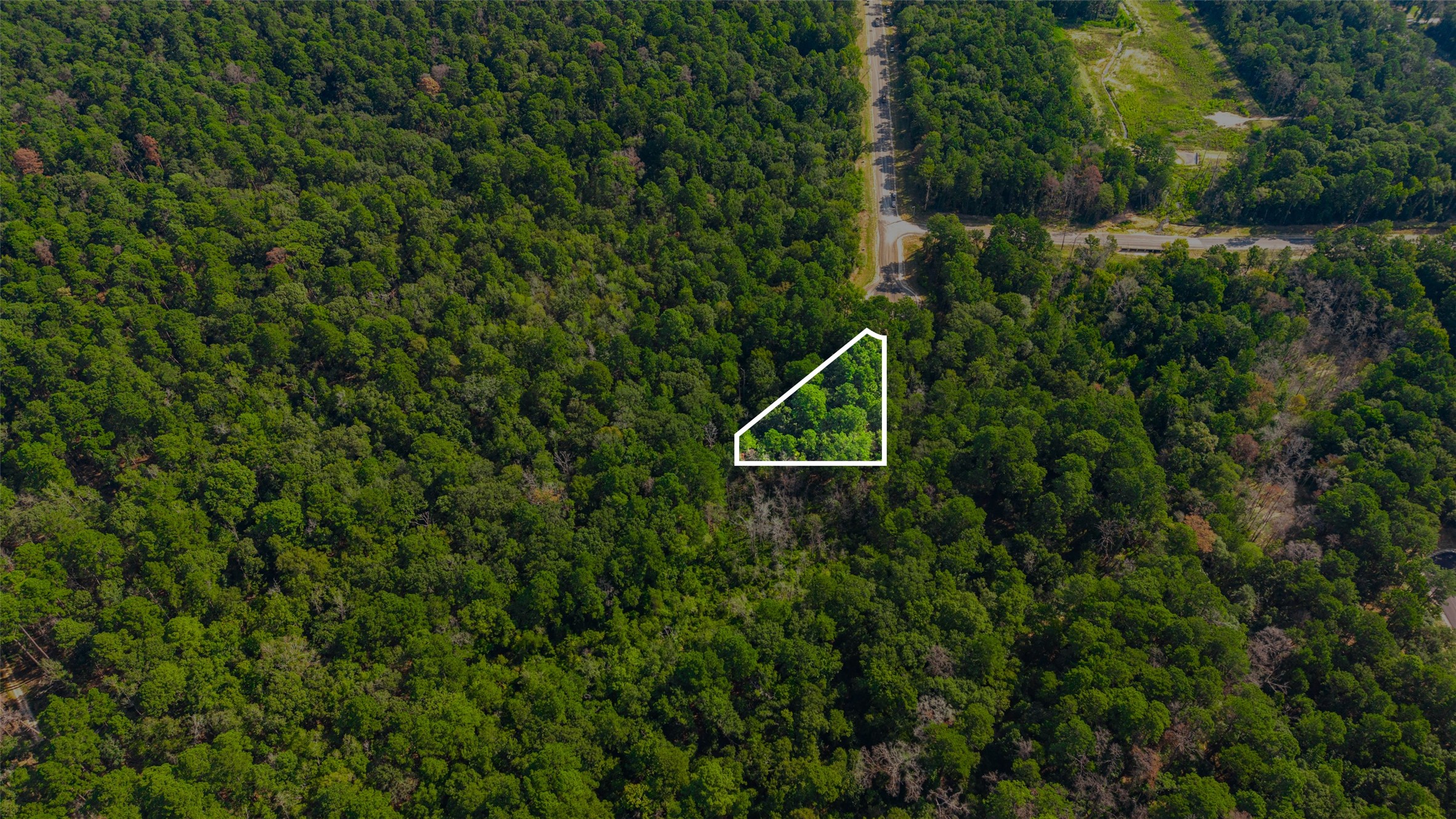 101 Longfellow Road New Waverly, TX 77358 - Photo 5 of 16 Gallery Image 5
