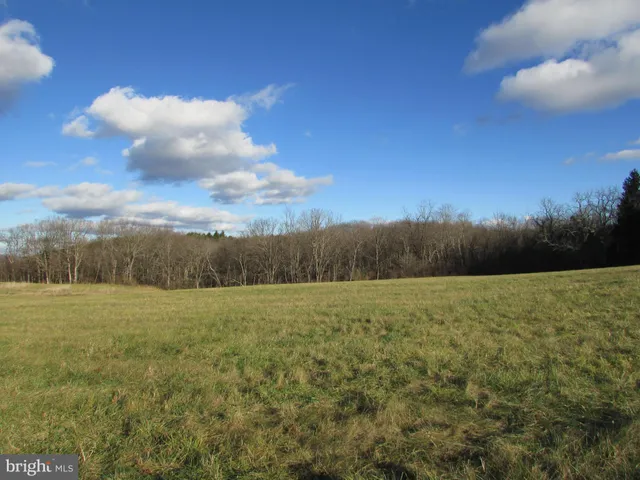 a view of an outdoor space and a yard